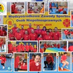 VII Międzyośrodkowe Zawody Sportowe Osób Niepełnosprawnych - Pszczyna-Suszec 2009