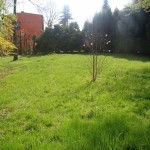 Wielka przeprowadzka