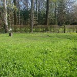 Wielka przeprowadzka