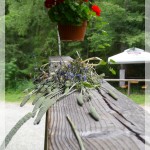 Środowiskowy Dom Samopomocy w Wiśle Czarne