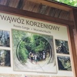 Folkowianie na Festiwalu Kapel i Śpiewaków Ludowych