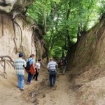 Folkowianie na Festiwalu Kapel i Śpiewaków Ludowych