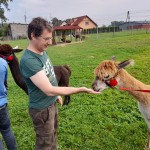 450506763_871889074971271_1759529353430730558_n