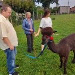 450563322_871889351637910_5385670079821016472_n