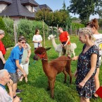 450640656_872046551622190_376229697773206783_n