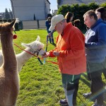 463380837_947979344028910_5044719915353707494_n