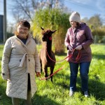 463405912_533935509282054_8356425594145668599_n