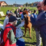 464089055_947979227362255_8150109918345879751_n